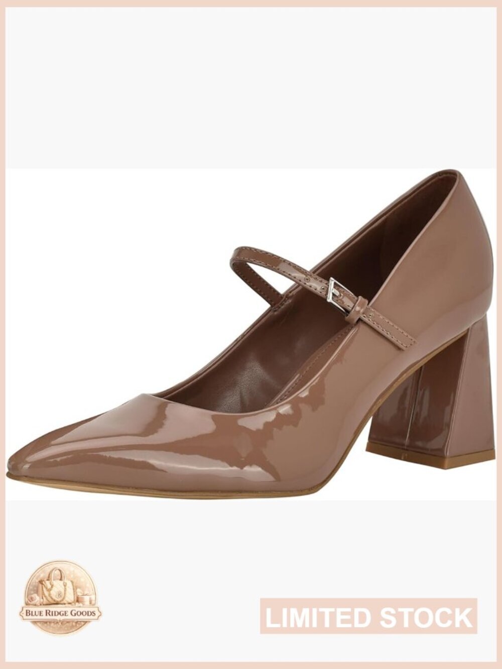 Pointy Toe Mary Jane Pumps with Block Heel and Buckle Closure